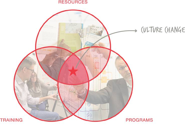 A Venn diagram showing three red circles that represent Training, Resources and Programs, with the overlapping titled 